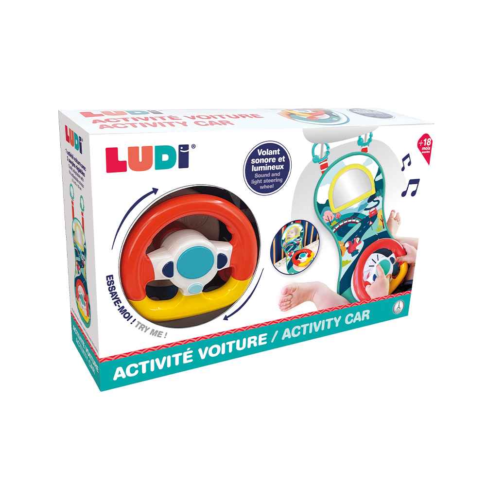LUDI CAR ACTIVITY